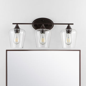 Jayne Iron/Glass Cottage Rustic LED Vanity Light